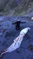 Гигантского кальмара обнаружили на побережье в Новой Зеландии 1