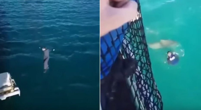 Матрос, на радостях прыгнувший с борта корабля в море, чуть не оказался в зубах акулы в Новой Каледонии (Видео)