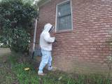 Пчелиный спасатель разобрал кирпичную стену жилища, чтобы ликвидировать «незаконный» улей (Видео) 1
