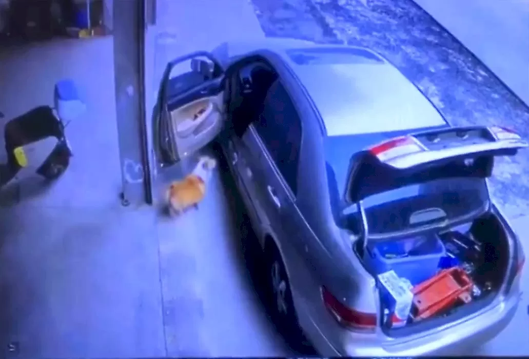 Четвероногий угонщик попытался уехать на хозяйском автомобиле: видео