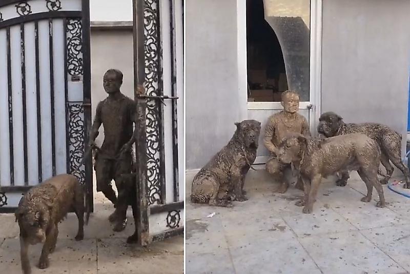 Хозяин трёх псов во время совместной прогулки принял незапланированные грязевые ванны ▶