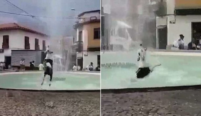 Пёс, резвящийся в фонтане, стал интернет знаменитостью в Колумбии (Видео)
