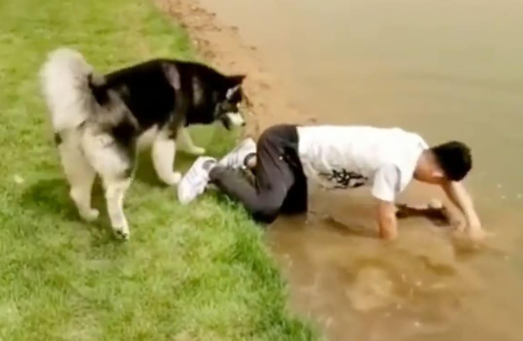 Пёс-шутник искупал в реке своего доверчивого хозяина