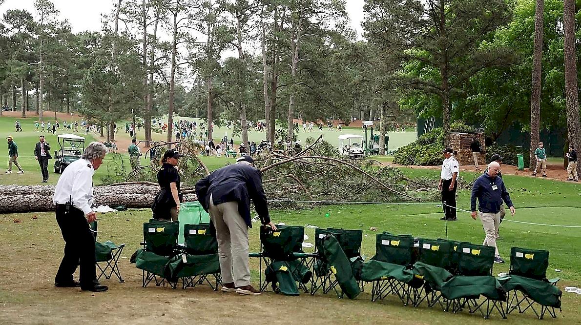 Две массивные сосны упали и прервали чемпионат по гольфу в США