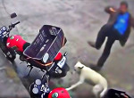 Мотоциклист, пнувший собаку, получил мгновенную расплату и рассмешил сеть