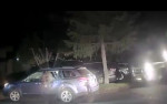 Полицейский разбил стекло в автомобиле, чтобы освободить застрявшего внутри медведя (Видео)
