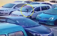 Собака, выброшенная из окна и пробившая стекло автомобиля, выжила после операции в Китае (Видео)