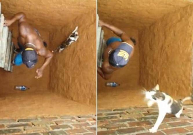 Спасатель не успел вытащить упавшую на дно 5-метрового колодца кошку. (Видео)