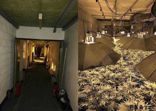 Британские полицейские обнаружили плантацию марихуаны в подземном, ядерном бункере.