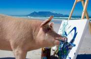 Свинья, спасённая от бойни, стала знаменитой художницей. (Видео) 2