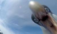 Пингвины попытались украсть видеокамеры, оставленные фотографом на побережье в Антарктиде (Видео) 2