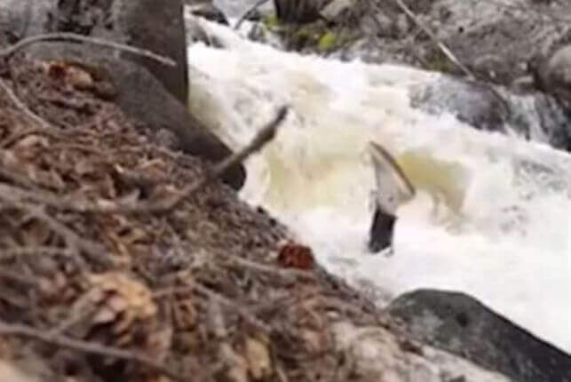 Бурная река смыла любительницу йоги в Колорадо (Видео)