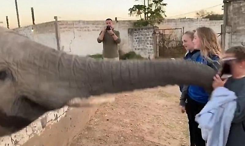 Слон точным ударом хобота выбил гаджет из рук зазевавшейся туристки ▶