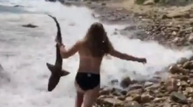 Юная американка спасла акулу у побережья Род-Айленда (Видео)