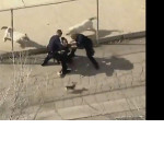 Девушка с собачкой попыталась скрыться от полицейской погони в США ▶
