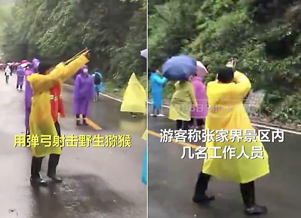 Смотрители китайского парка, используя рогатки, отбивают туристов от полчищ макак