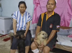 Собаки вмешались в противостояние соседа и хозяина в Таиланде
