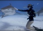 Молодая дайверша привлекла внимание тигровой акулы на Багамах