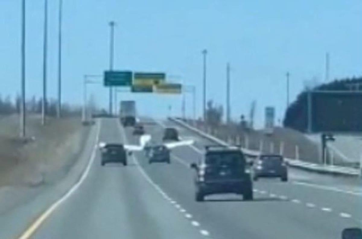 Самолёт протиснулся между автомобилями и совершил экстренную посадку на канадской автотрассе