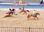 Зрелищные скачки закончилось лобовым столкновением двух лошадей в Китае