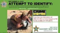 Полицейские объявили в розыск девушку, укравшую вымытый на пляж свёрток с «травой» во Флориде 0
