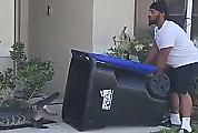 Ветеринар, используя мусорку поймал аллигатора и попал на видео в США