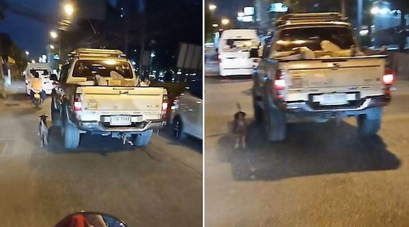 Брошенный пёс устроил погоню за автомобилем жестокого хозяина на улице в Паттайе ▶