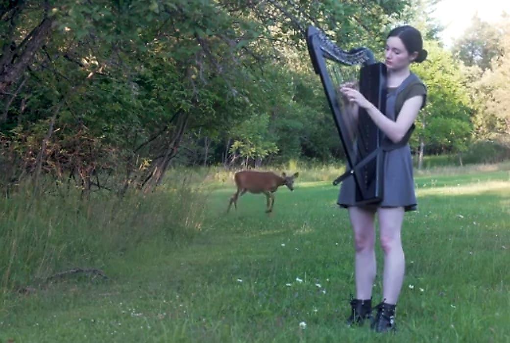 Любопытный олень испугал девушку, играющую на арфе в лесу