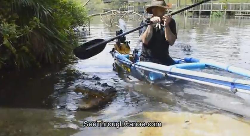 Американский бизнесмен проверил на прочность байдарку, проплыв на ней по озеру с аллигаторами. (Видео)