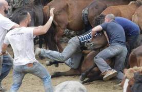 Тысячи испанцев приняли участие в массовой «объездке» диких лошадей в Галисии. (Видео) 14