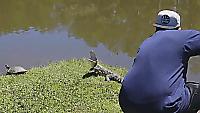 Детёныш крокодила испугал любителя селфи, который от неожиданности утопил гаджет в реке