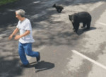Медведица предостерегла туриста, дразнившего её детёнышей ▶