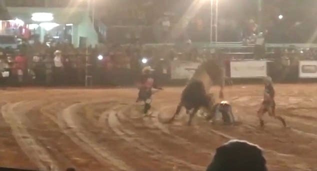 Всадник-родео не удержался в седле у быка в Бразилии (Видео)