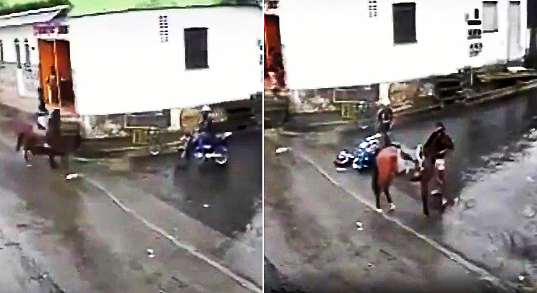 Авария с участием мотоциклиста и всадника на лошади попала в объектив видеорегистратора
