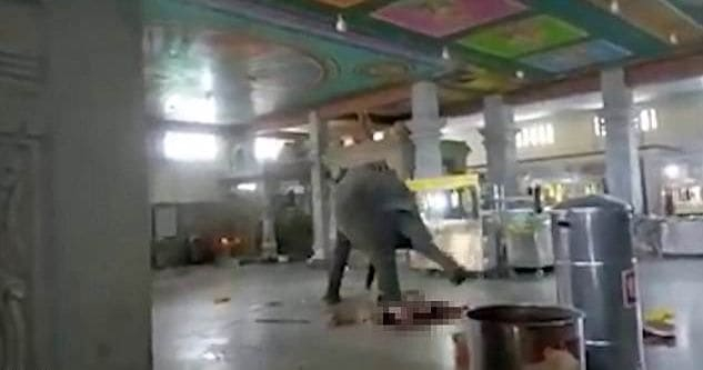 Слон растоптал служителя индийского храма (Видео)