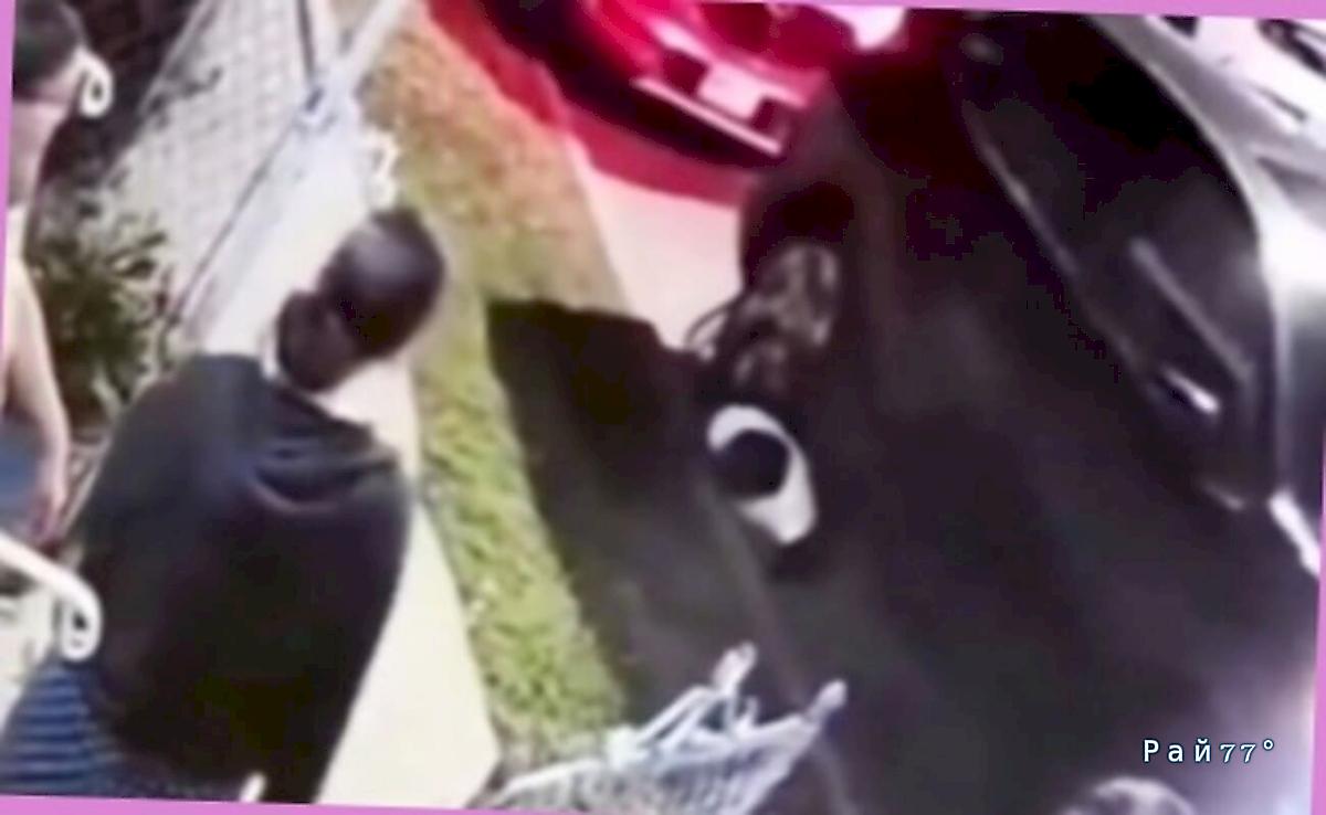 Беглый преступник быстро пожалел, что спрятался от полицейских под автомобилем Беглый преступник быстро пожалел, что спрятался от полицейских под автомобилем