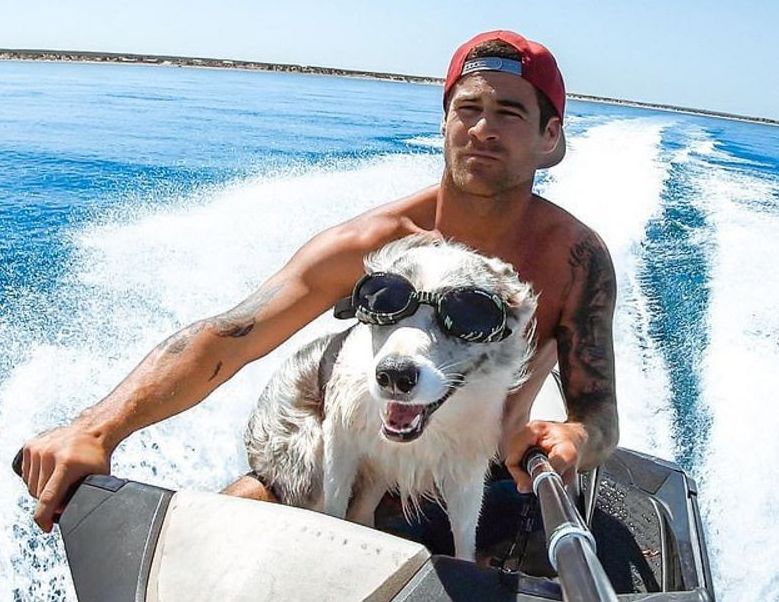 Дайвер спас своего пса от акулы у побережья Австралии ▶