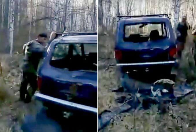 Медведь раскурочил автомобиль охотников в Красноярском лесу (Видео)