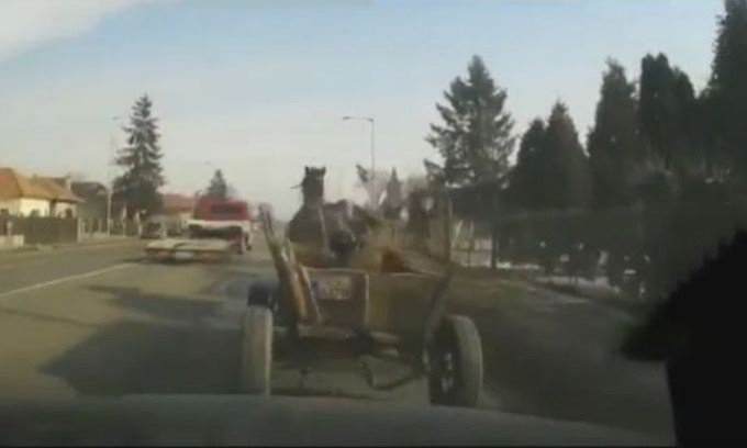 Молдавский лихач сбил повозку с лошадью в Румынии (Видео)
