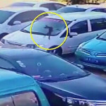 Собака, выброшенная из окна и пробившая стекло автомобиля, выжила после операции в Китае (Видео)