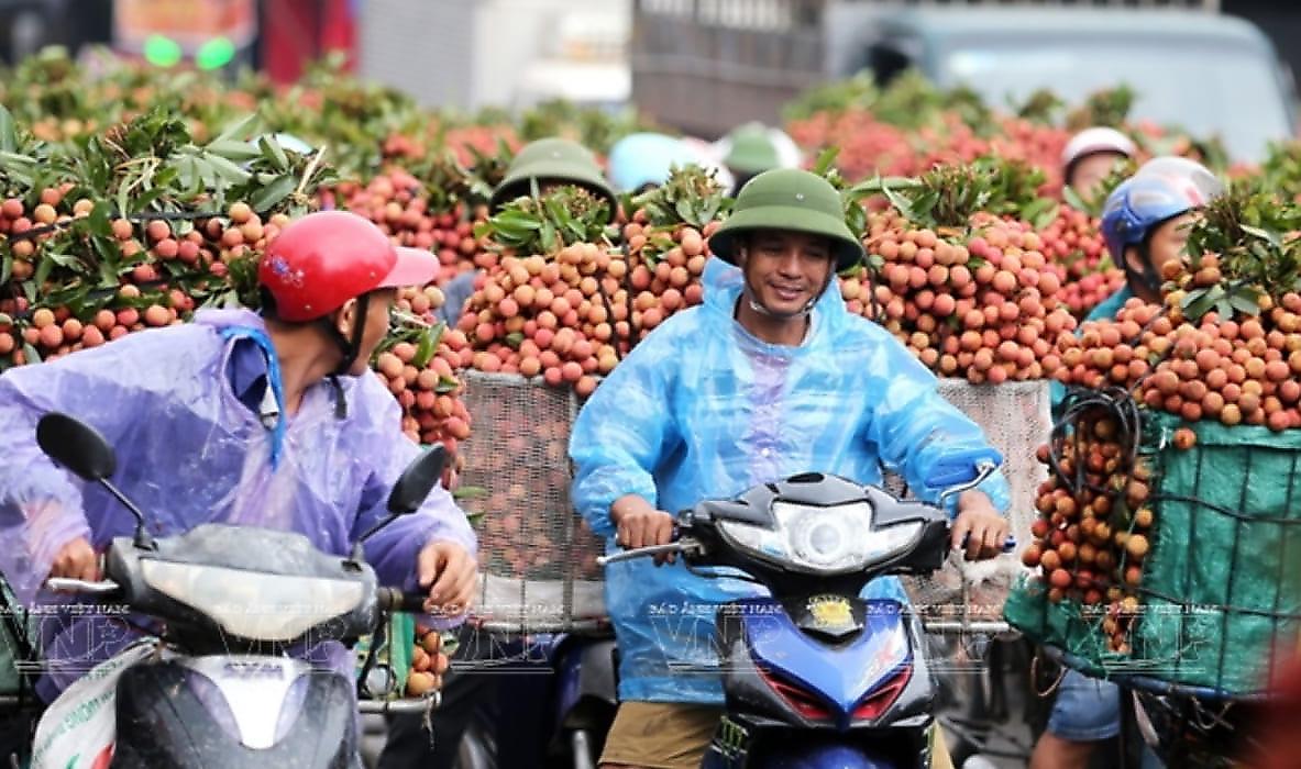 Сюжет с воришкой на мотоцикле, курьёзно стащившим фрукты, рассмешил интернет-пользователей