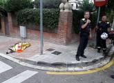 Полицейские не смогли взять живой сбежавшую от хозяина эму в Испании (Видео) 0