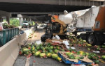 Сотни арбузов, выпавшие из перевёрнутого трейлера, перекрыли движение на магистрали в США (Видео)