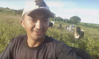 Коровы прогнали наглого мотоциклиста со своего поля в Бразилии (Видео)