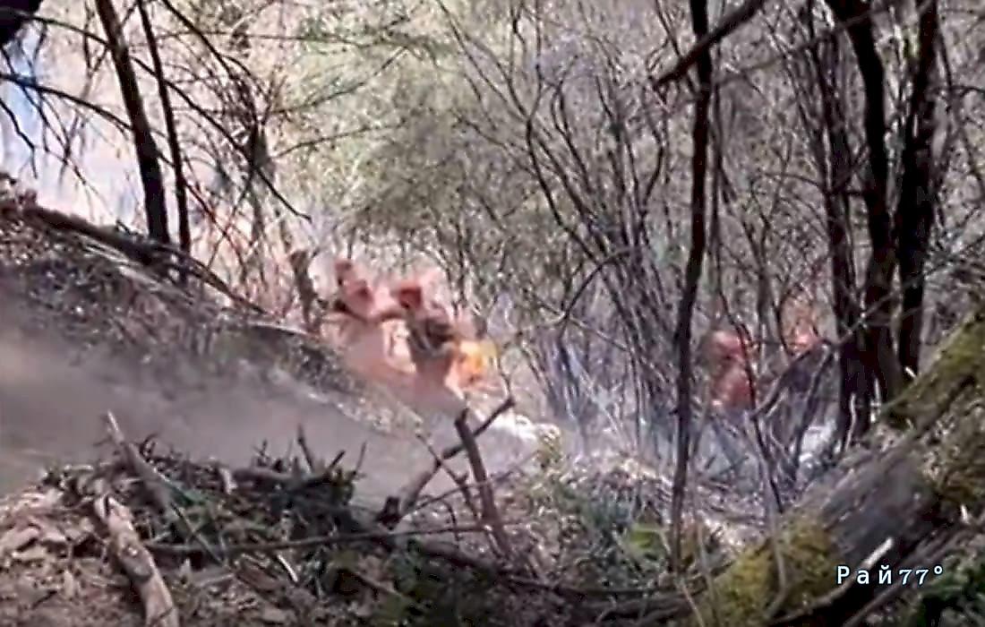 Пожарные чудом увернулись от горящего валуна, скатившегося с холма