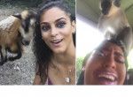 Козёл и обезьяна испортили фотосессии двум любительницам селфи ▶