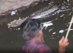 Спасатели вытащили циветту из глубокого колодца в Индии