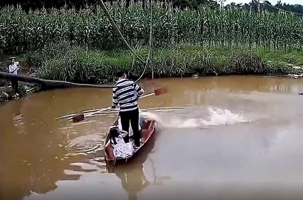 Боевая рыбина запрыгнула в лодку и довела до истерики китайское семейство
