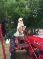 Пёс - тракторист помогает своему хозяину на поле в Ирландии. (Видео) 3