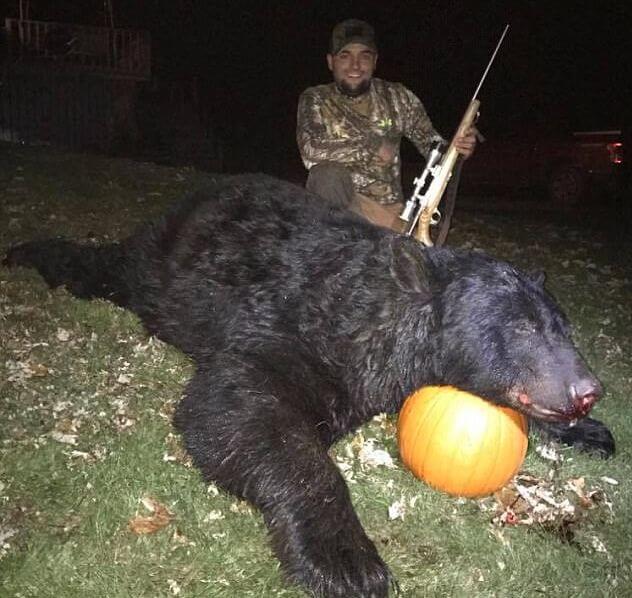 Охотник подстрелил гигантского медведя в Пенсильвании.